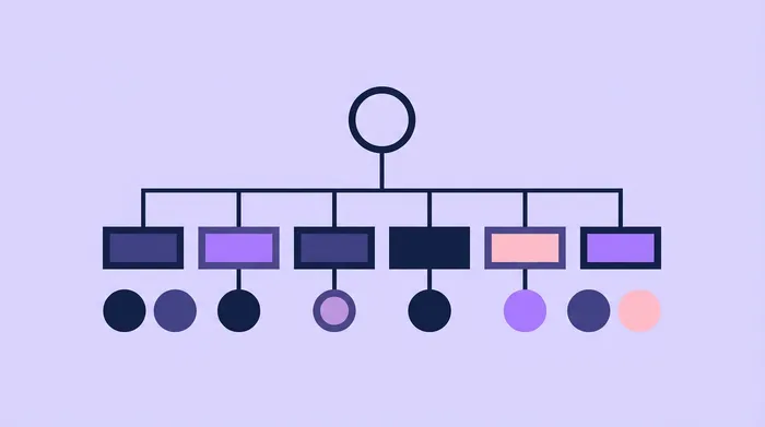 What is information architecture in UX? A plain guide for Australia