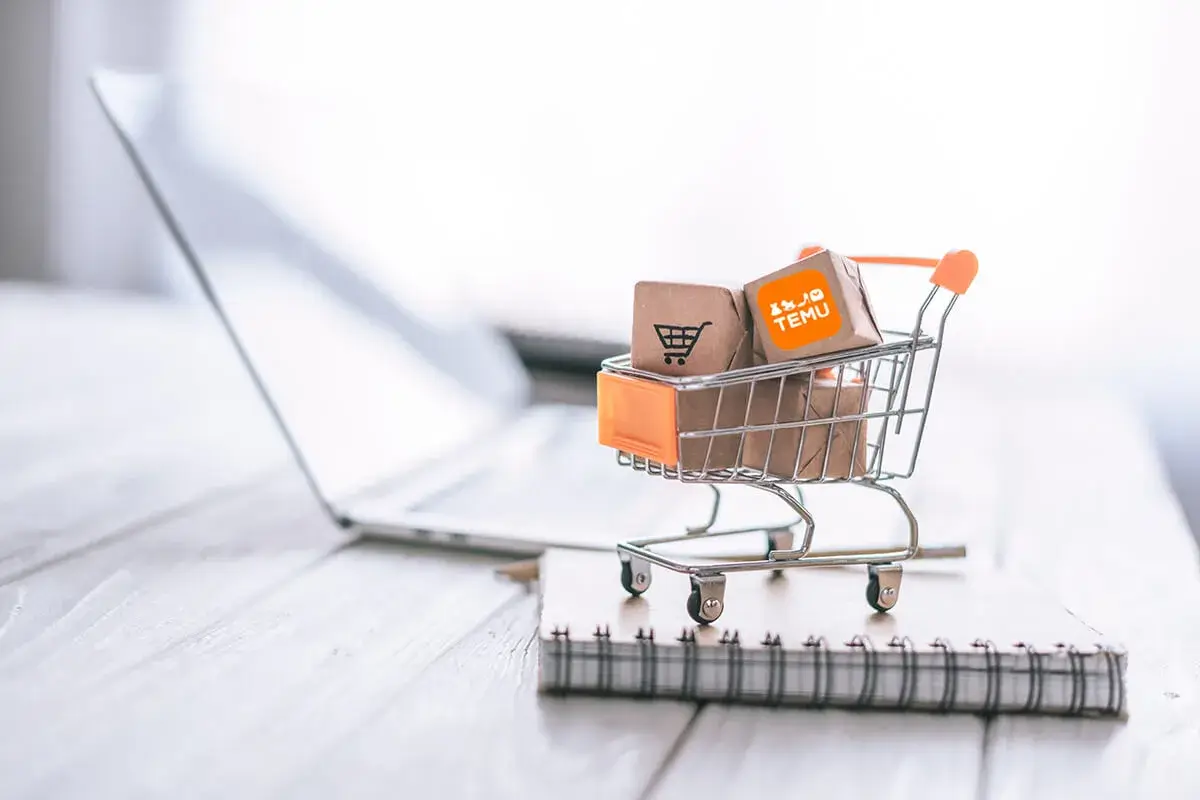 Temu: O prezentare generală a platformei de comerț electronic