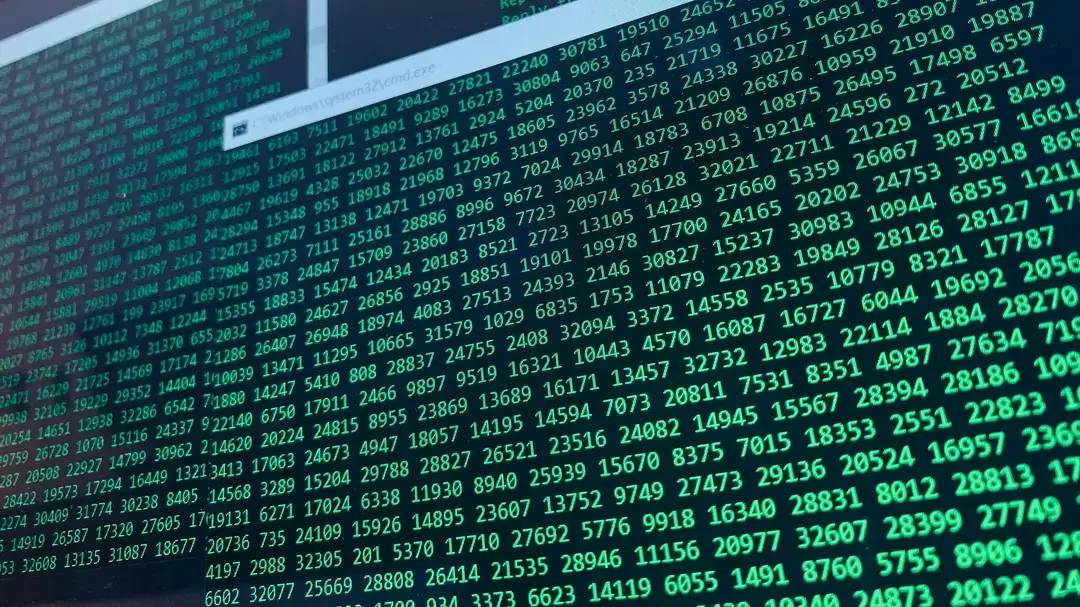 Data Science lernen: In 5 Schritten zum gefragten Datenexperten